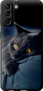 Чохол на Samsung Galaxy S21 Plus Димчастий кіт "825b-2115-2448"