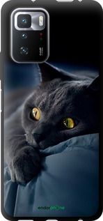 Чохол на Xiaomi Poco X3 GT Димчастий кіт "825b-2511-2448"