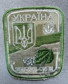 Шеврон Вооруженные силы Украины №19