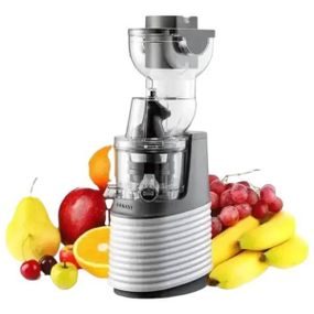 Соковыжималка шнековая для дома 300Вт 300мл Sokany JE-32