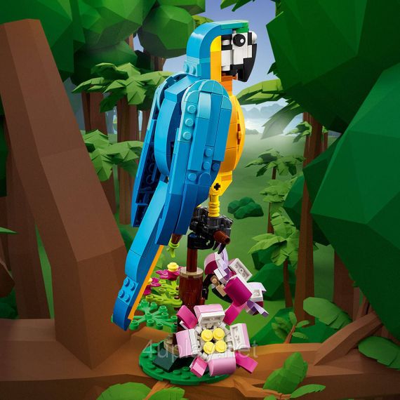 Конструктор LEGO Creator 3-в-1 Экзотический попугай (Exotic Parrot) - Попугай, Рыбка и Лягушка | Зображення 3