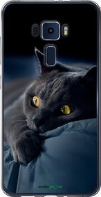 Чохол на Asus Zenfone 3 ZE552KL Димчастий кіт "825u-448-2448"