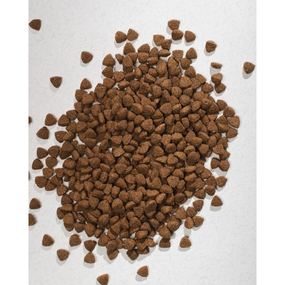 Корм сухий HalfHalf для дорослих собак маленьких порід із яловичиною 2 кг | Зображення 4