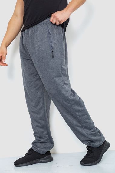 Спорт чоловічі штани, колір сірий, 244R41392 | Зображення 2