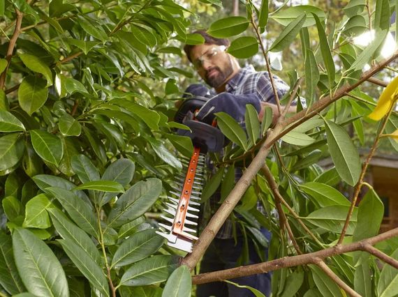 Кущоріз електричний Black&Decker BEHTS301 | Зображення 1