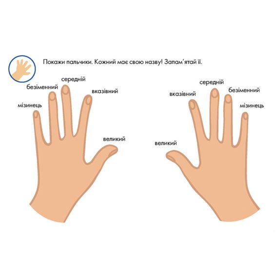 Многоразовые прописи "Тренажер для рук" 1155004, 31 карточка | Зображення 6