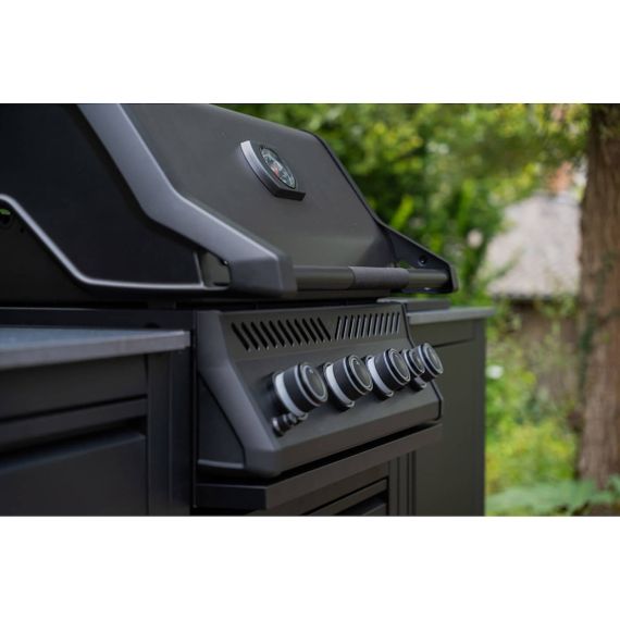 Вбудований газовий гриль Napoleon 300 Series BIR32 з вертілем чорний BIR32RBPMK-UA Код: 014047 | Зображення 6
