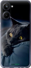 Чохол на Realme 10 Димчастий кіт "825u-2946-2448"