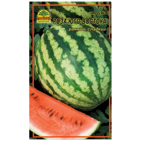 Насіння кавуна Троянда Південно-східна 0,5 кг | Зображення 2