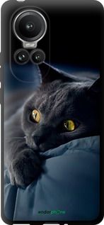 Чохол на Oppo Reno10 Pro Димчастий кіт "825b-3109-2448"