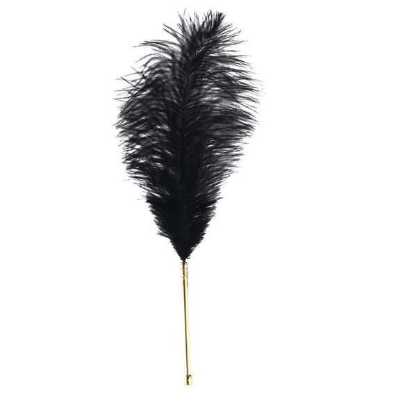 Щекоталка LOCKINK SEVANDA Natural Peacock Flirting Feather Tickler, перо павлина Sex Aura | Зображення 2