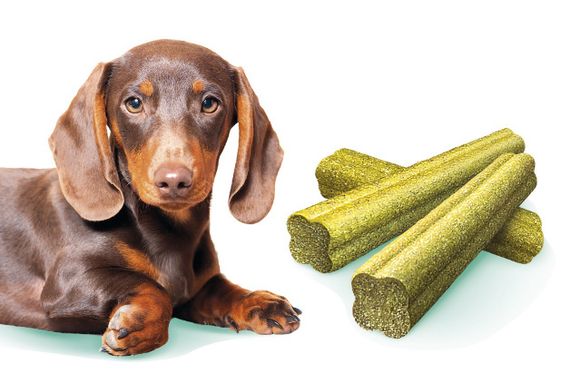 Ласощі для собак малих порід для здоров'я зубів Brit Care Mini Treats Fresh Breath, 120 гр | Зображення 1