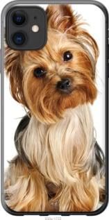 Чохол для Apple iPhone 11 з силікону FCh_075689