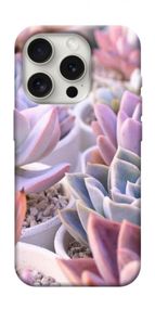 Чохол з картинкою Ехеверія 2 для Apple iPhone 16 Pro Max (6.9")