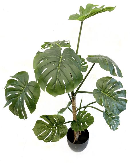 Монстера штучна 115 см у горщику | Зображення 1