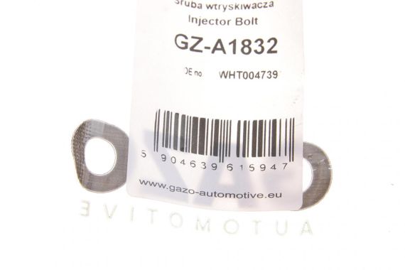 Болт кріплення форсунки VW Caddy T5 2.0TDI 10- к-кт 2шт.  GZ-A1832 | Зображення 3