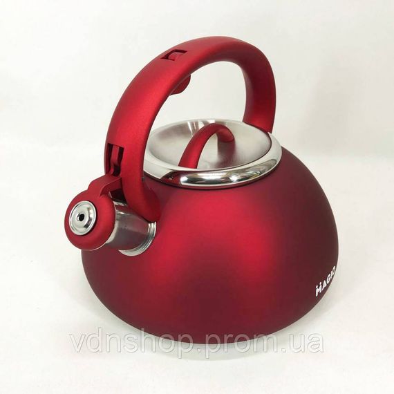 Чайник з нержавіючої сталі якісний, Чайник для газових плит Якісний металевий DX-29 | Зображення 1