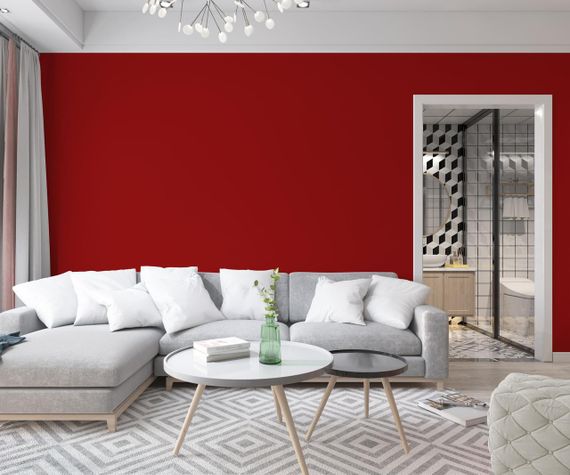 Краска Интерьерная Латексная Skyline 2570-Y90R (C) Рубин 10л | Зображення 2