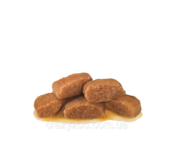 Вологий корм для котів Royal Canin Diabetic при цукровому діабеті 85 г 40850011 | Зображення 2