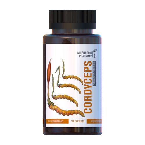 Гриб Кордіцепс капсули №120