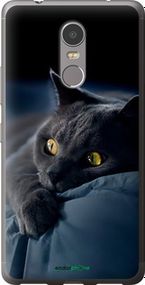Чохол на Lenovo K6 Note Димчастий кіт "825t-453-2448"