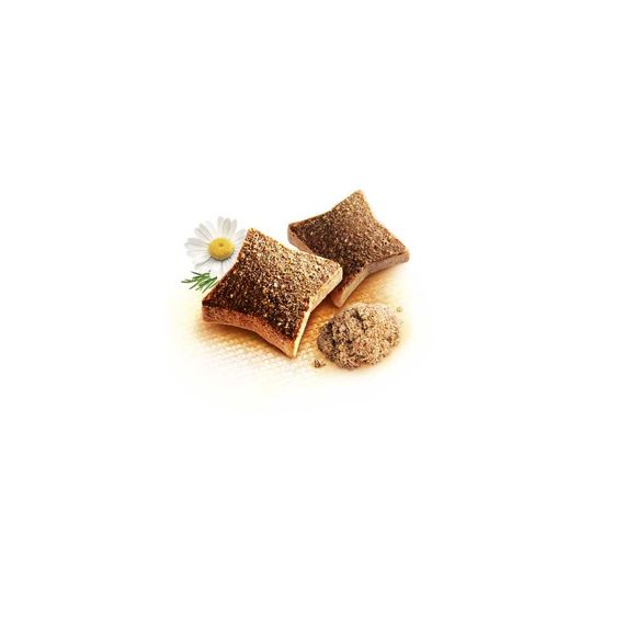 Вітаміни Brit Vitamins Calm для дорослих собак для підтримки нервової системи в стресових ситуаціях на протеїні з комах 150 | Зображення 1