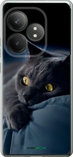 Чохол на Realme GT 6T Димчастий кіт "825u-3750-2448"