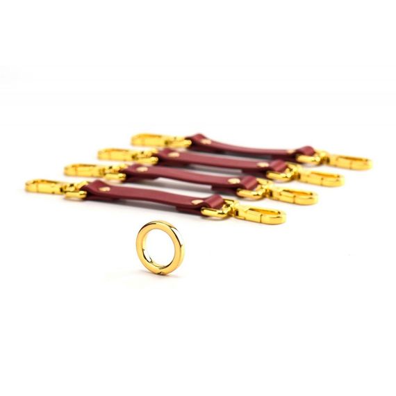 Набір BDSM Валіза Бажаний червоний шкіряний Kinky Tools Set UPKO Sex Aura | Зображення 3