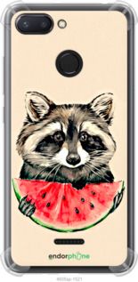 Чохол на Xiaomi Redmi 6 Єнотик з кавуном "4605sp-1521-2448"