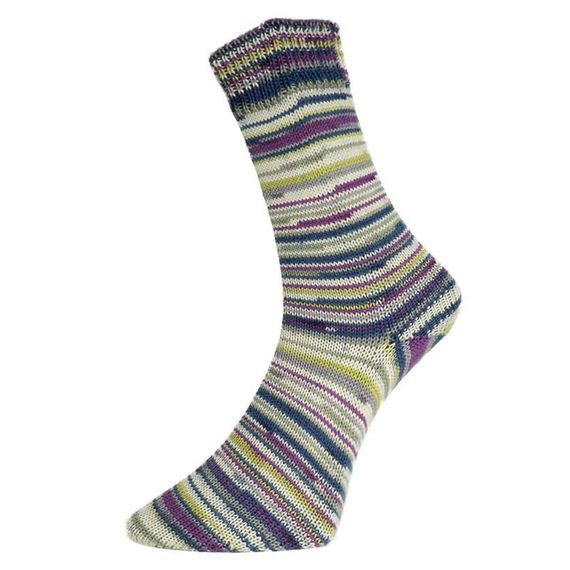 Шкарпеткова пряжа Pro Lana Golden Socks Schonwald, 664