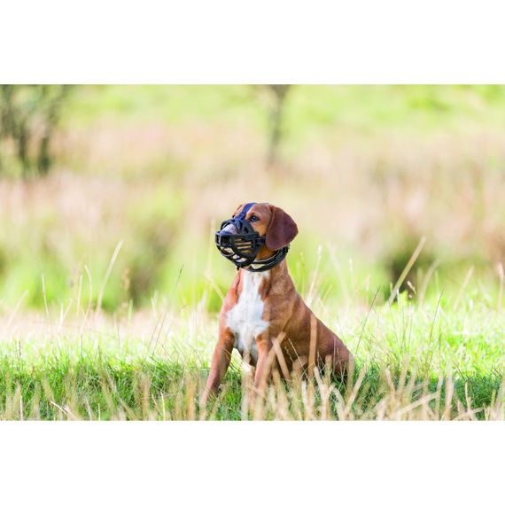 Намордник Trixie для собак гумовий XL–XXL чорний | Зображення 3