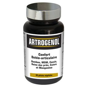 Комплекс для суставов NUTRIEXPERT ARTROGENOL 60 Caps