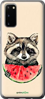 Чохол на Samsung Galaxy S20 Єнотик з кавуном "4605u-1824-2448"