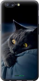 Чохол на OnePlus 5 Димчастий кіт "825u-969-2448"