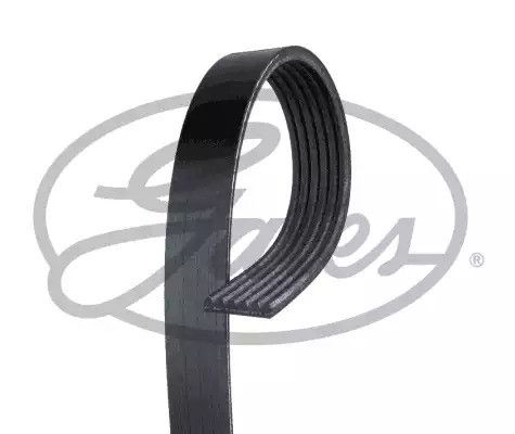 Ремінь генератора струмковий Logan 1.6, GATES (6PK1818) (8200356268) | Зображення 1