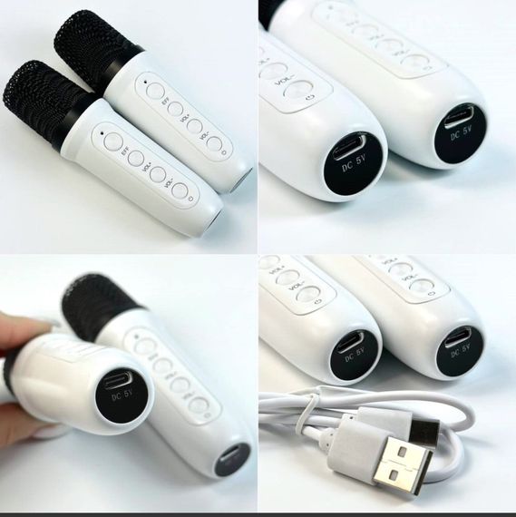 Портативна колонка Z1 Bluetooth з LED диско-шаром і караоке функцією XPRO (47746-9069_306) | Зображення 9