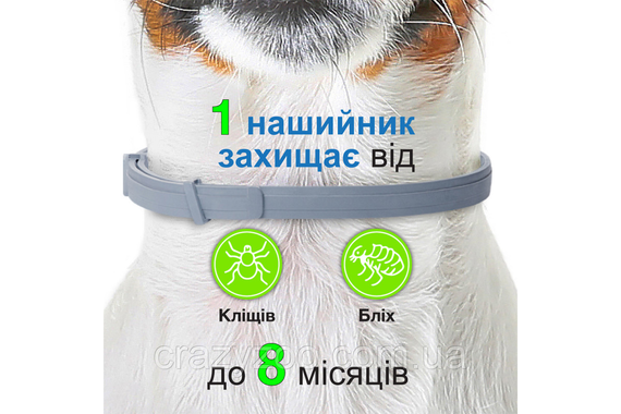 Нашийник інсектицидний Foresto Elanco для собак понад 8 кг 70 см 46371 | Зображення 6
