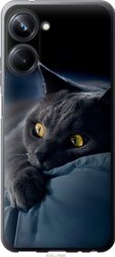 Чехол на Realme 10 Pro Дымчатый кот "825u-2945-17620"