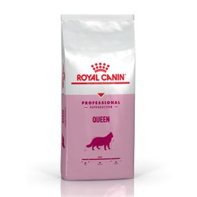 Сухий корм для вагітних кішок Royal Canin Queen, 4 кг