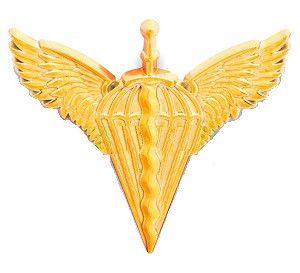 Кокарда "ДШВ" (пластик)