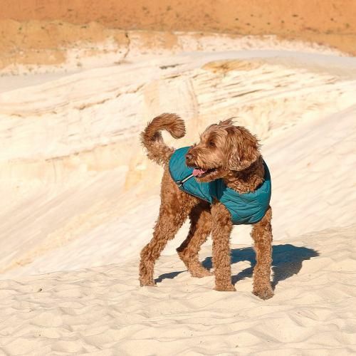 Жилет Pet Fashion «E.Vest» для собак, размер SM, морська хвиля | Зображення 2
