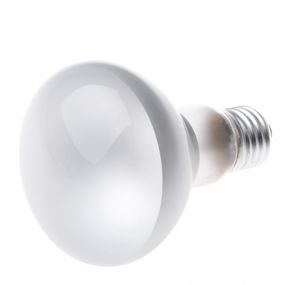 Лампа накаливания рефлекторная R R-80 100W Br 220V