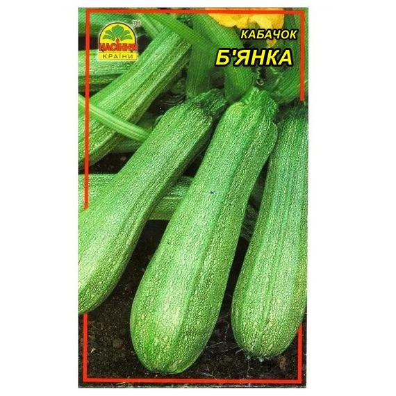 Насіння кабачка Бьянка 2 г (Насіння Країни)
