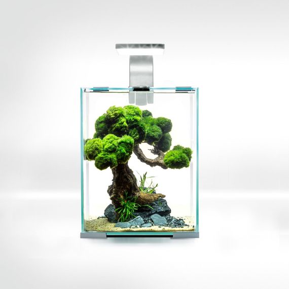 Акваріум Aquael Shrimp Set Smart для креветок прямий білий 19 л | Зображення 1