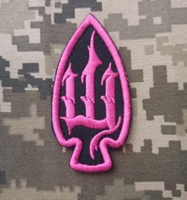 Шеврон