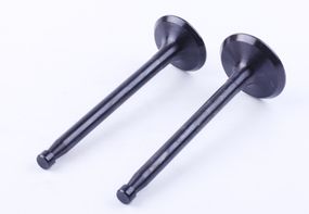 Клапани  мотоблона з двигуном ZS/ZH1100