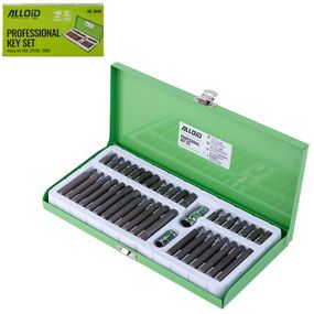 Набір біт (насадок до викруток) шестиганних, SPLINE,TORX 40 пред. Alloid