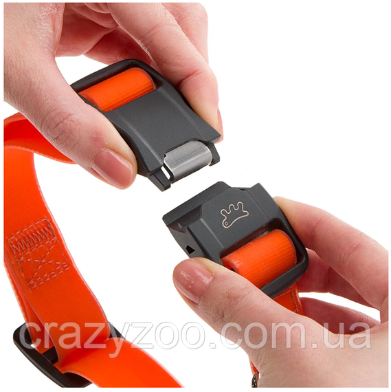 Нашийник для собак Ferplast Club Reflex C25/70 нейлон червоний 2,5х45-70 см 75250422 | Зображення 5