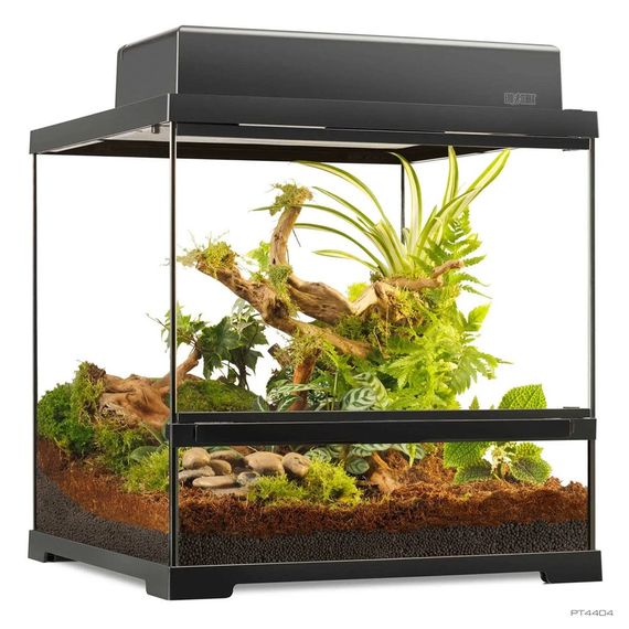 Тераріум ExoTerra для екзотичних тварин Pro Terrarium скляний 45x45x45 см | Зображення 1