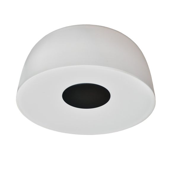 Светильник настенно-потолочный светодиодный накладной BL-841C/32W WW WH